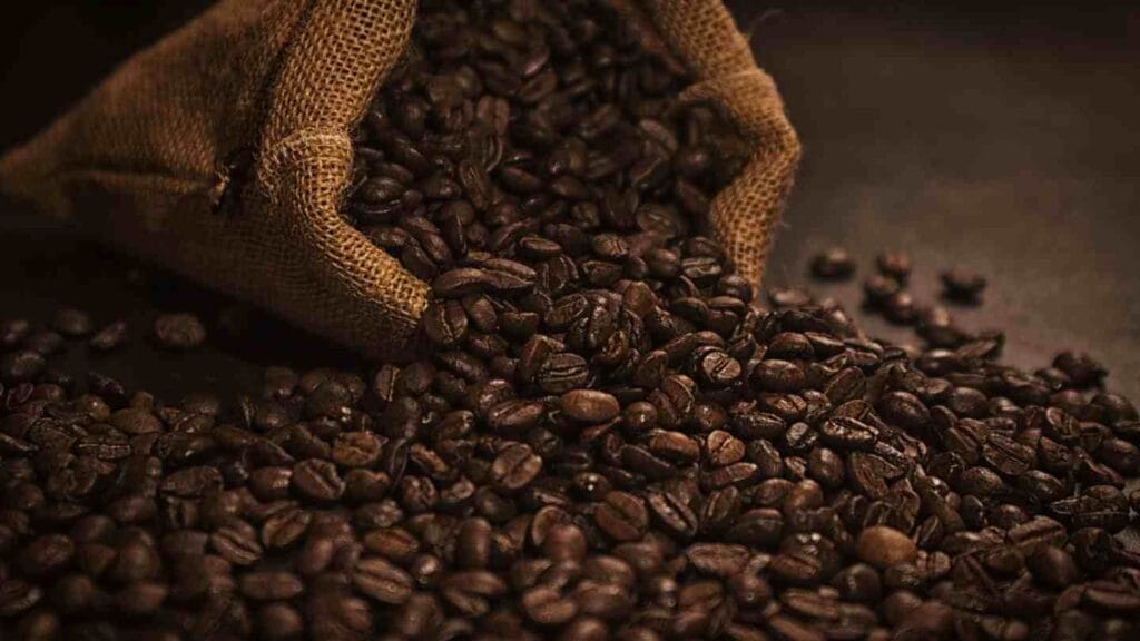 History of Coffee in Java Culture and Local Experience
