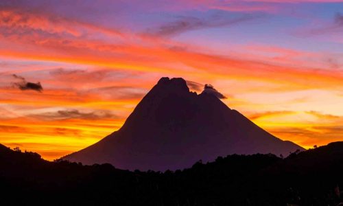 Untitled design (15)